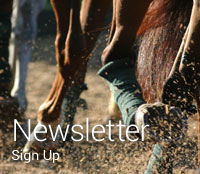 Newsletter Sign Up